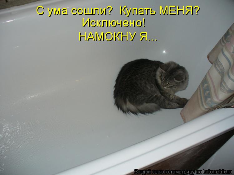 С ума сошли? Купать МЕНЯ? Исключено! НАМОКНУ Я...... Котоматрица: С ума сошли? Купать МЕНЯ? Исключено! НАМОКНУ Я...
