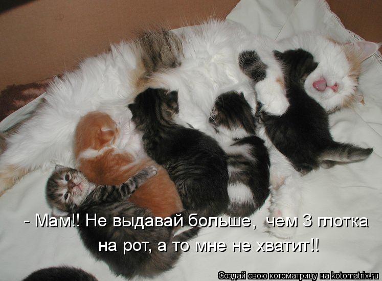 - Мам!! Не выдавай больше, чем 3 глотка на рот, а то мне не хватит!!... Котоматрица: - Мам!! Не выдавай больше, чем 3 глотка на рот, а то мне не хватит!!