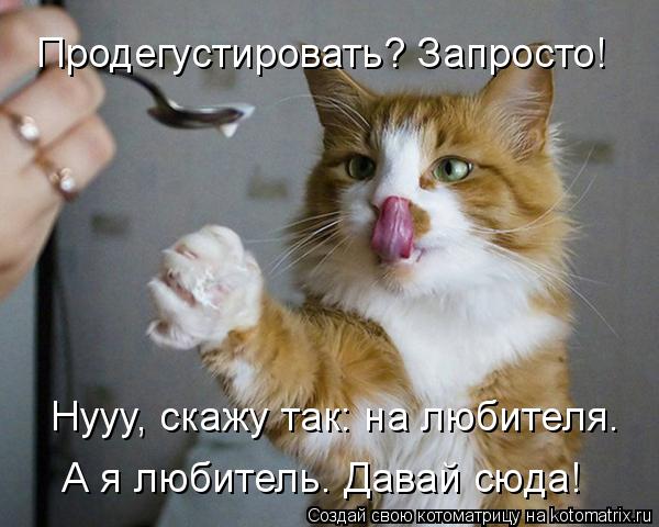 Котоматрица: Продегустировать? Запросто!  Нууу, скажу так: на любителя.  А я любитель. Давай сюда!
