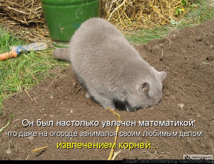 Он был настолько увлечен математикой, что даже на огороде занимался своим любимым делом: извлечением ... Котоматрица: Он был настолько увлечен математикой, что даже на огороде занимался своим любимым делом: извлечением корней...