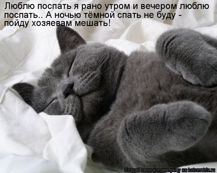 Люблю поспать я рано утром и вечером люблю поспать.. А ночью тёмной спать не буду - пойду хозяевам ме... Котоматрица: Люблю поспать я рано утром и вечером люблю поспать.. А ночью тёмной спать не буду - пойду хозяевам мешать!