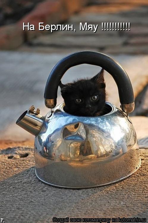 Котоматрица: На Берлин, Мяу !!!!!!!!!!!