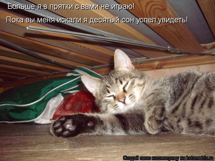 Котоматрица: Больше я в прятки с вами не играю! Пока вы меня искали я десятый сон успел увидеть!