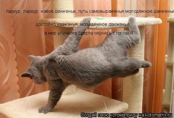 Котоматрица: паркур, паркур. новое движенье, путь самовыраженья молодёжное движенье достойно уваженья, молодёжное движенье. в мир уличного спорта окуни