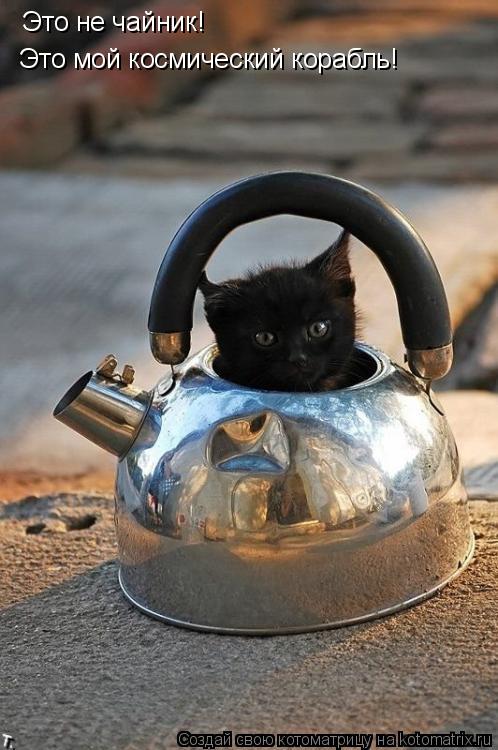 Котоматрица: Это не чайник!  Это мой космический корабль!