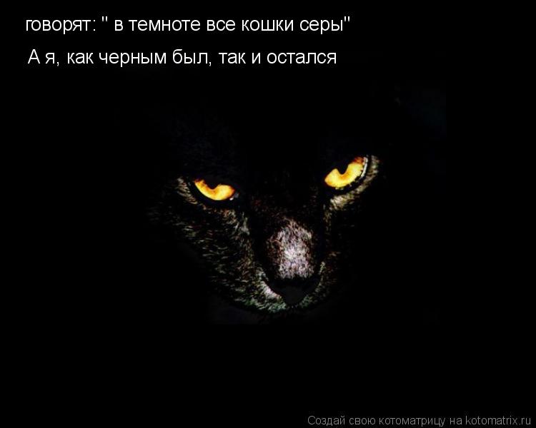 Котоматрица: говорят: " в темноте все кошки серы"  А я, как черным был, так и остался