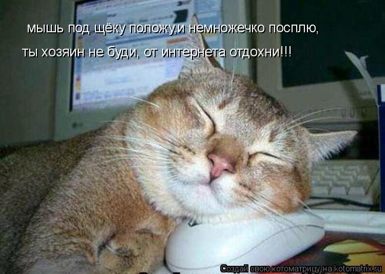 Котоматрица: мышь под щёку положу,и немножечко посплю, ты хозяин не буди, от интернета отдохни!!!