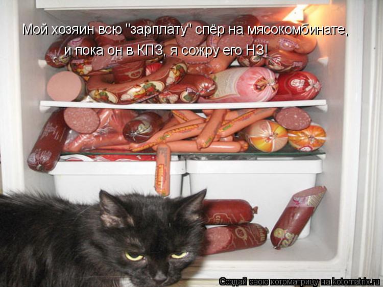 Мой хозяин всю "зарплату" спёр на мясокомбинате, и пока он в КПЗ, я сожру его НЗ!... Котоматрица: Мой хозяин всю "зарплату" спёр на мясокомбинате, и пока он в КПЗ, я сожру его НЗ!
