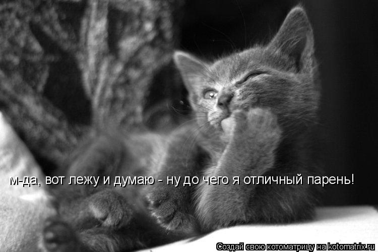 м-да, вот лежу и думаю - ну до чего я отличный парень!... Котоматрица: м-да, вот лежу и думаю - ну до чего я отличный парень!