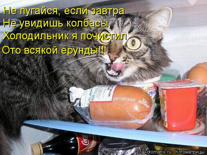 Котоматрица: Не пугайся, если завтра Не увидишь колбасы, Холодильник я почистил  Ото всякой ерунды!!!