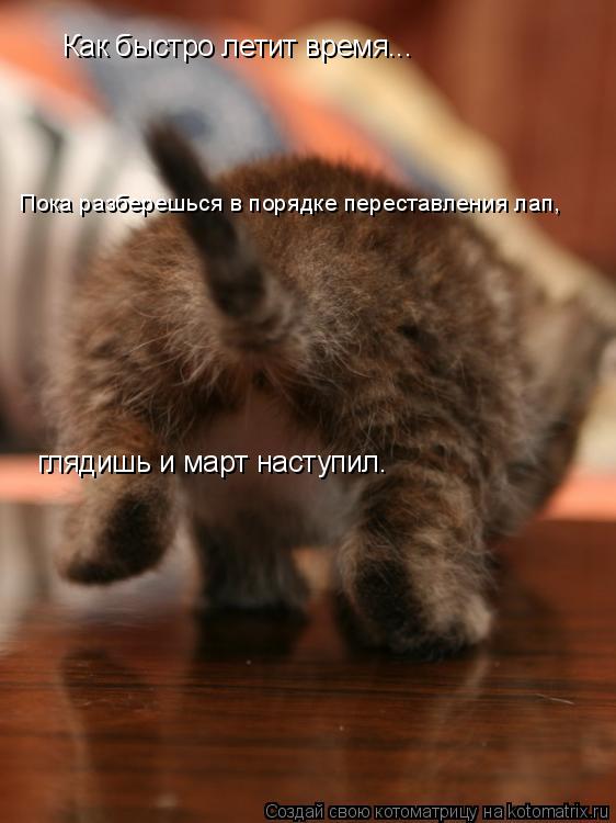 Котоматрица: Как быстро летит время... Пока разберешься в порядке переставления лап, глядишь и март наступил.