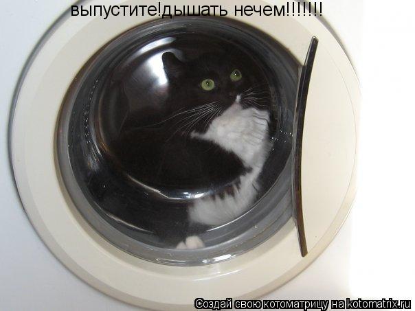 Котоматрица: выпустите!дышать нечем!!!!!!!
