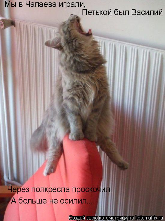 Котоматрица: Мы в Чапаева играли,  Петькой был Василий Через полкресла проскочил, А больше не осилил...