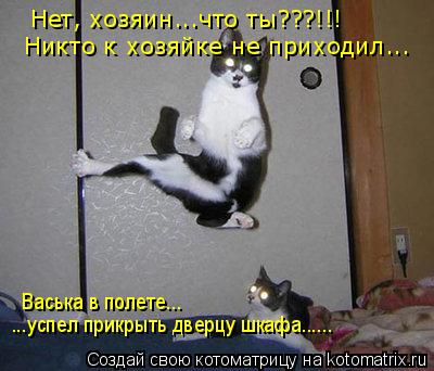 Нет, хозяин...что ты???!!! Никто к хозяйке не приходил... Васька в полете... ...успел прикрыть дверцу... Котоматрица: Нет, хозяин...что ты???!!! Никто к хозяйке не приходил... Васька в полете... ...успел прикрыть дверцу шкафа......