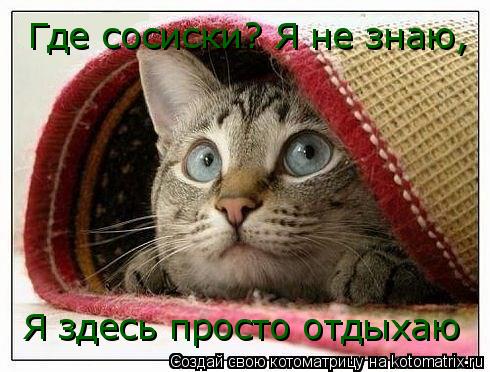 Котоматрица: Где сосиски? Я не знаю, Я здесь просто отдыхаю