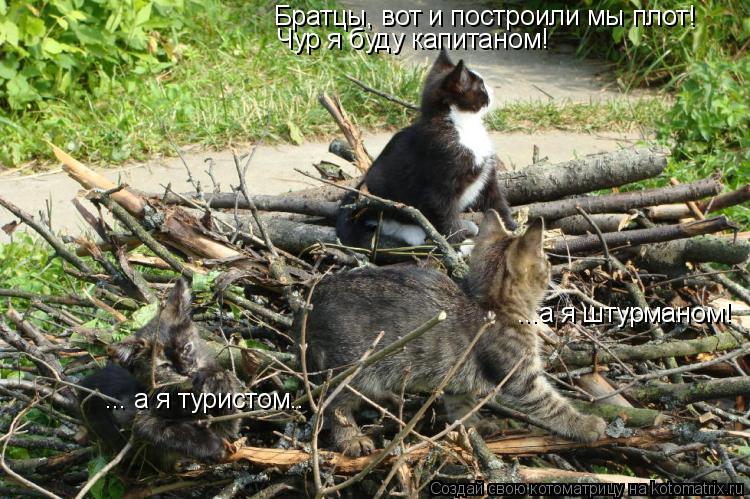 Котоматрица: Братцы, вот и построили мы плот! Чур я буду капитаном! ...а я штурманом! ... а я туристом..