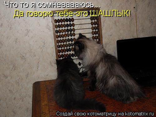 Что то я сомневаааюсь... Да говорю тебе-это ШАШЛЫК!... Котоматрица: Что то я сомневаааюсь... Да говорю тебе-это ШАШЛЫК!