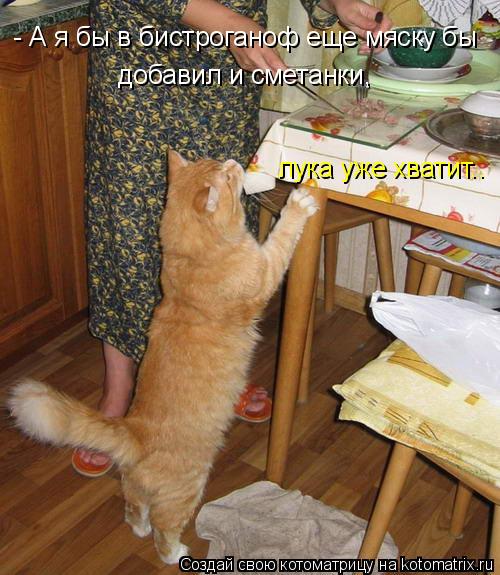 Котоматрица: - А я бы в бистроганоф еще мяску бы  добавил и сметанки,  лука уже хватит..