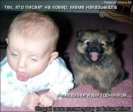 Котоматрица: тех, кто писает на ковер, мама наказывала  намазывая язык горчичкой...