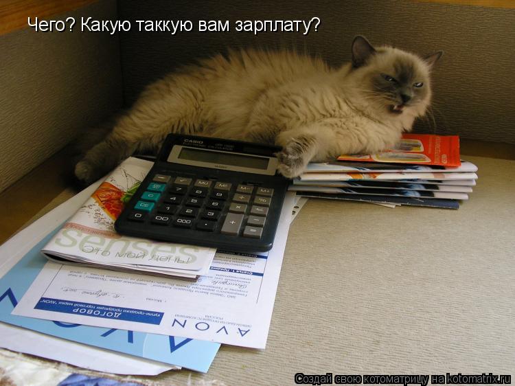 Котоматрица: Чего? Какую таккую вам зарплату?