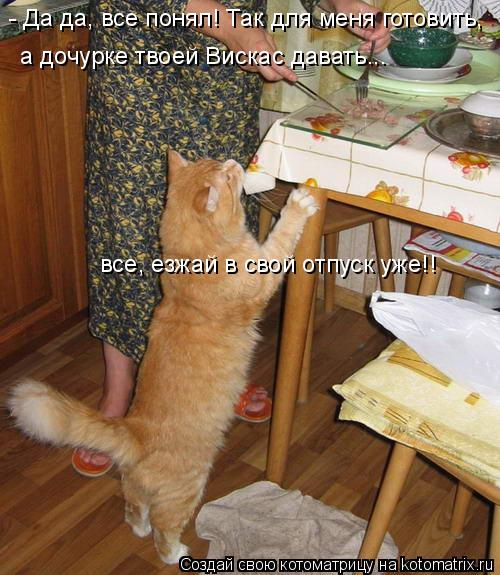 Котоматрица: - Да да, все понял! Так для меня готовить,  а дочурке твоей Вискас давать... все, езжай в свой отпуск уже!!