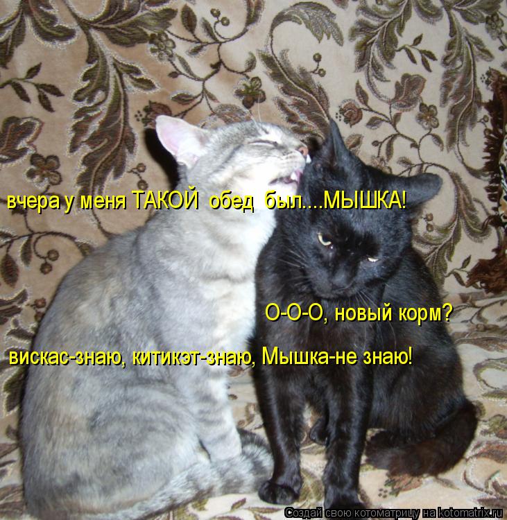 Котоматрица: О-О-О, новый корм?  вчера у меня ТАКОЙ  обед  был....МЫШКА! вискас-знаю, китикэт-знаю, Мышка-не знаю!