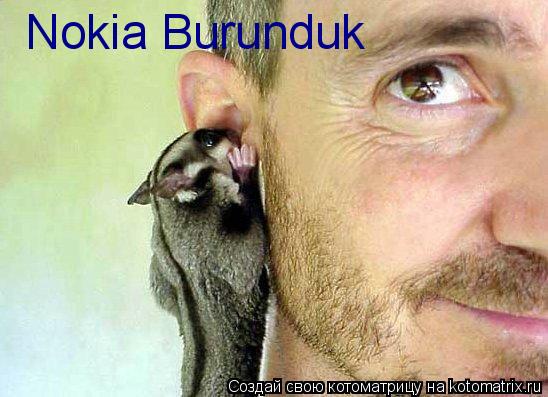 Котоматрица: Nokia Burunduk