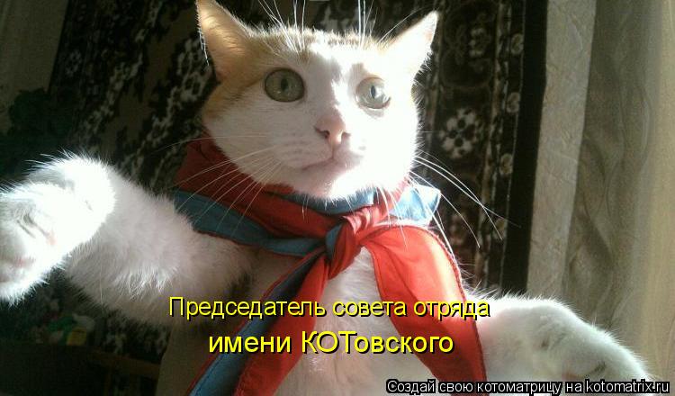 Котоматрица: Председатель совета отряда имени КОТовского
