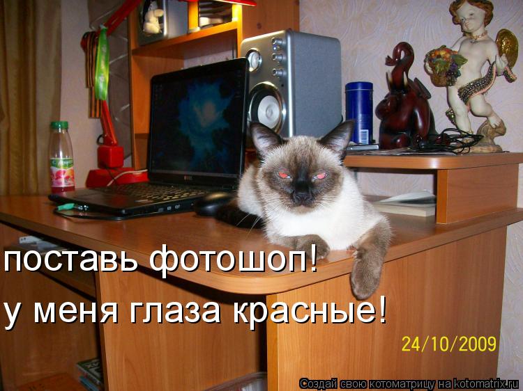 Котоматрица: поставь фотошоп! у меня глаза красные!