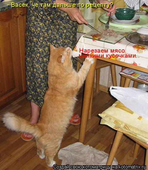 Котоматрица: - Васёк, чё там дальше по рецепту?  - Нарезаем мясо мелкими кусочками..