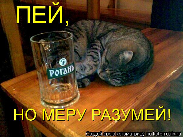 ПЕЙ, НО МЕРУ РАЗУМЕЙ!... Котоматрица: ПЕЙ, НО МЕРУ РАЗУМЕЙ!