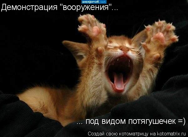 Демонстрация "вооружения"... ... под видом потягушечек =)... Котоматрица: Демонстрация "вооружения"... ... под видом потягушечек =)
