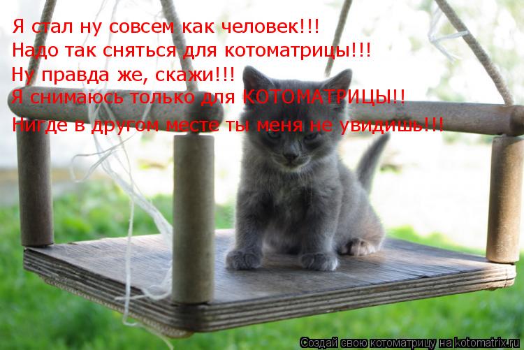 Котоматрица: Я стал ну совсем как человек!!! Надо так сняться для котоматрицы!!! Ну правда же, скажи!!! Я снимаюсь только для КОТОМАТРИЦЫ!! Нигде в другом мес