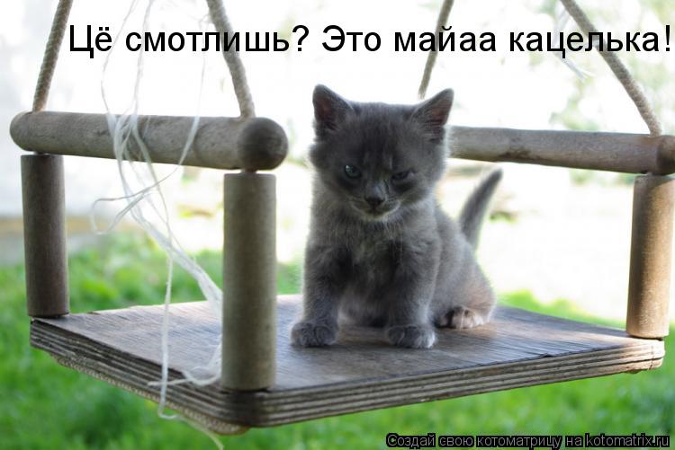 Котоматрица: Цё смотлишь? Это майаа кацелька!