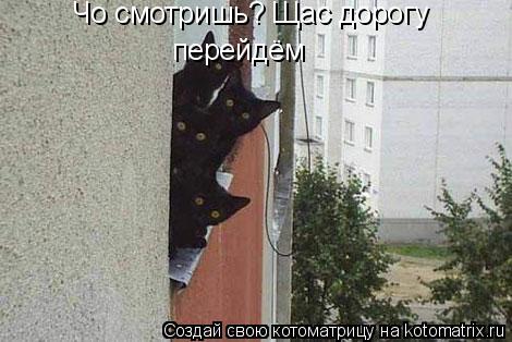 Котоматрица: Чо смотришь? Щас дорогу  перейдём