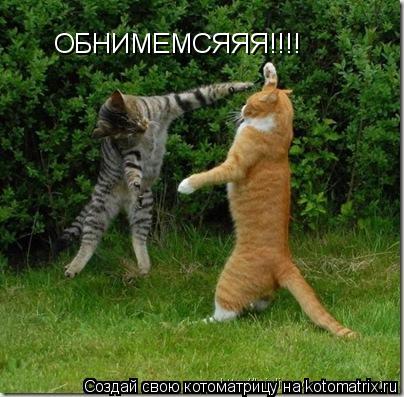 Котоматрица: ОБНИМЕМСЯЯЯ!!!!