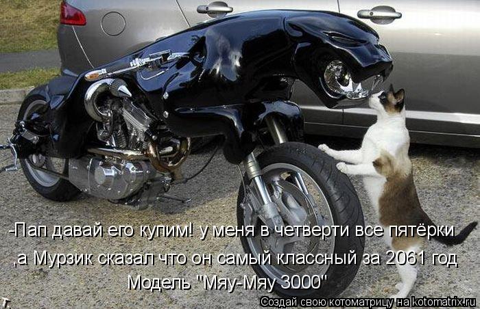Котоматрица: -Пап давай его купим! у меня в четверти все пятёрки ,а Мурзик сказал что он самый классный за 2061 год Модель "Мяу-Мяу 3000"