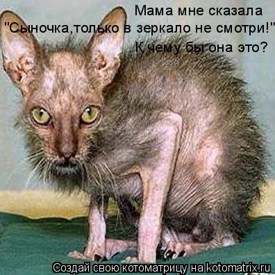 Котоматрица: Мама мне сказала "Сыночка,только в зеркало не смотри!" К чему бы она это?