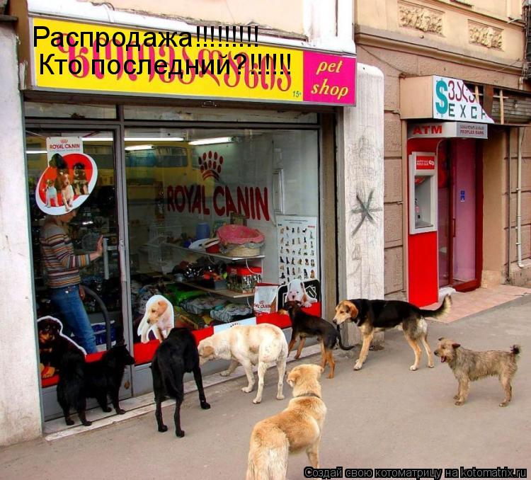 Котоматрица: Распродажа!!!!!!!!! Кто последний?!!!!!!