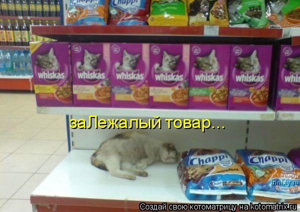 заЛежалый товар...... Котоматрица: заЛежалый товар...