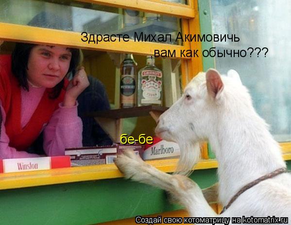 Котоматрица: Здрасте Михал Акимовичь ,вам как обычно??? бе-бе