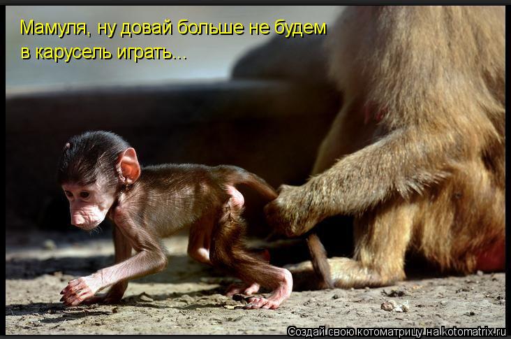 Котоматрица: Мамуля, ну довай больше не будем в карусель играть...