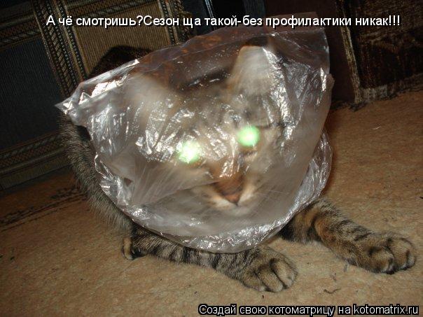 Котоматрица: А чё смотришь?Сезон ща такой-без профилактики никак!!!