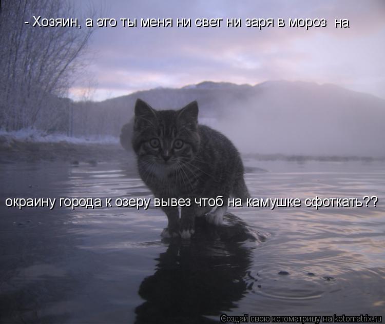 Котоматрица: - Хозяин, а это ты меня ни свет ни заря в мороз на  окраину города к озеру вывез чтоб на камушке сфоткать??