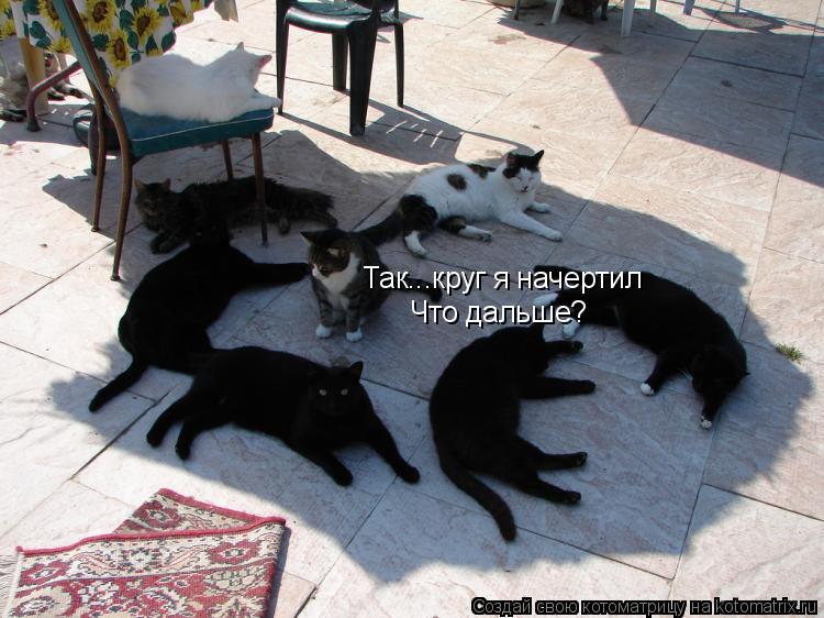 Котоматрица: Так...круг я начертил Что дальше?
