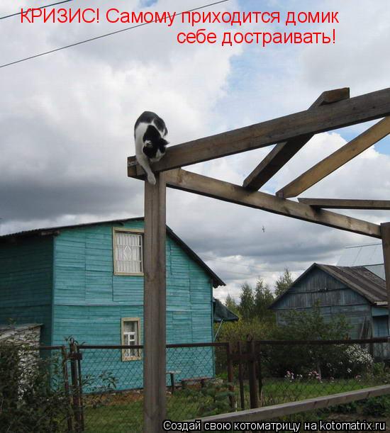 КРИЗИС! Самому приходится домик себе достраивать!... Котоматрица: КРИЗИС! Самому приходится домик себе достраивать!