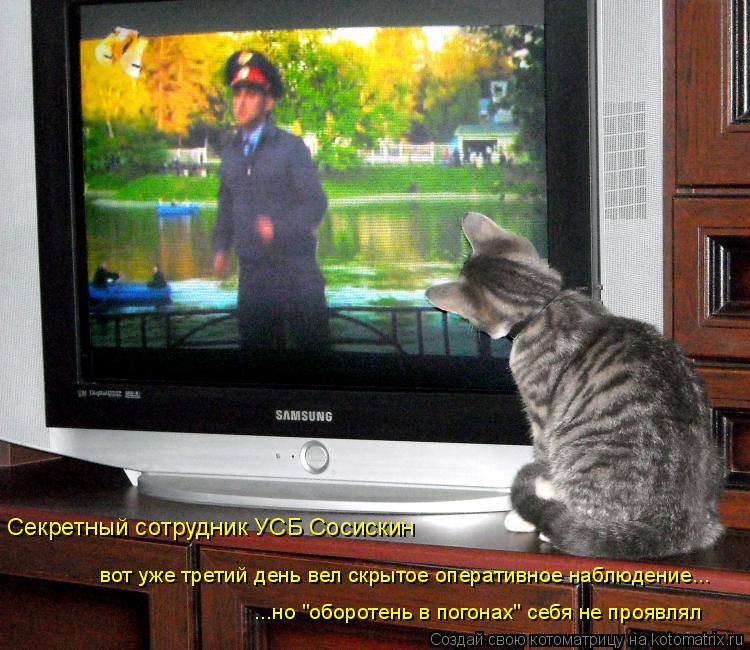 Котоматрица: Секретный сотрудник УСБ Сосискин вот уже третий день вел скрытое оперативное наблюдение... ...но "оборотень в погонах" себя не проявлял