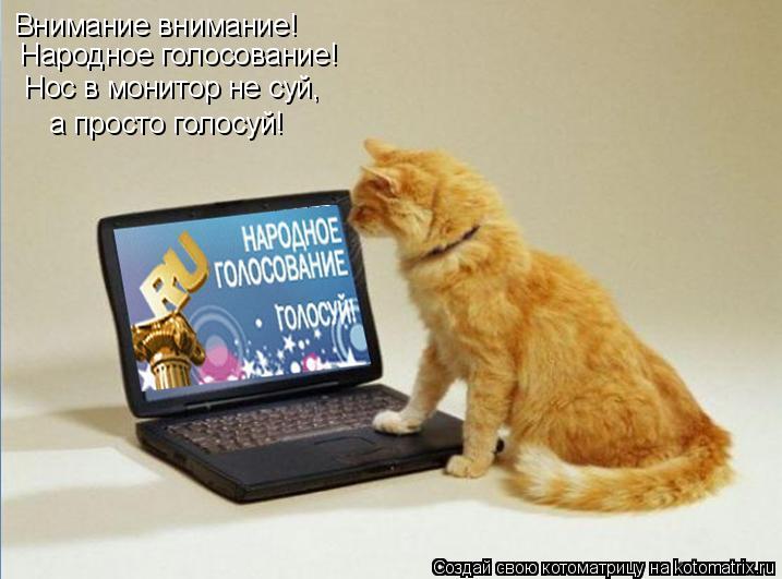 Котоматрица: Внимание внимание!  Народное голосование!  Нос в монитор не суй,   а просто голосуй!