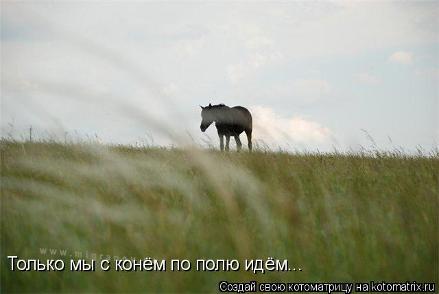 Котоматрица: Только мы с конём по полю идём...