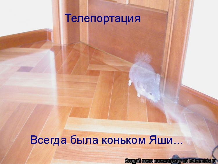 Котоматрица: Телепортация Всегда была коньком Яши...